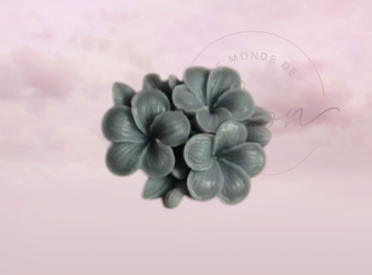 Bouquet fleur