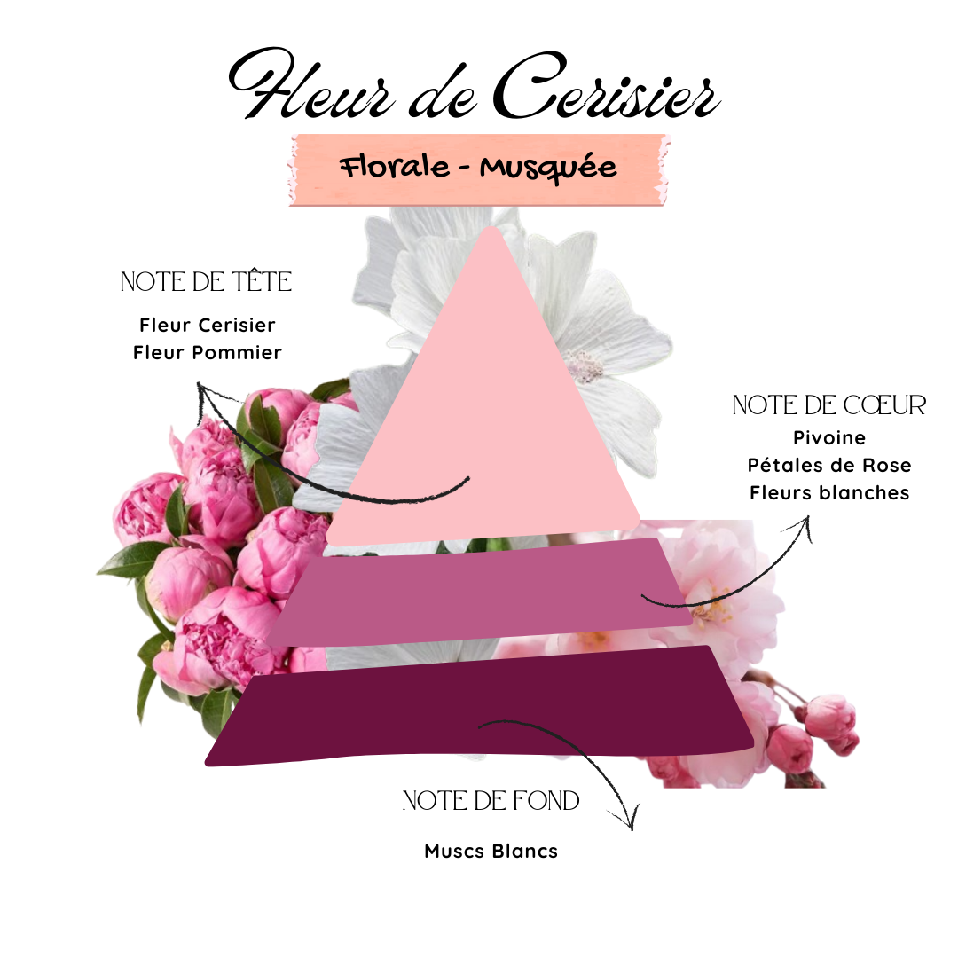 Fleur de Cerisier