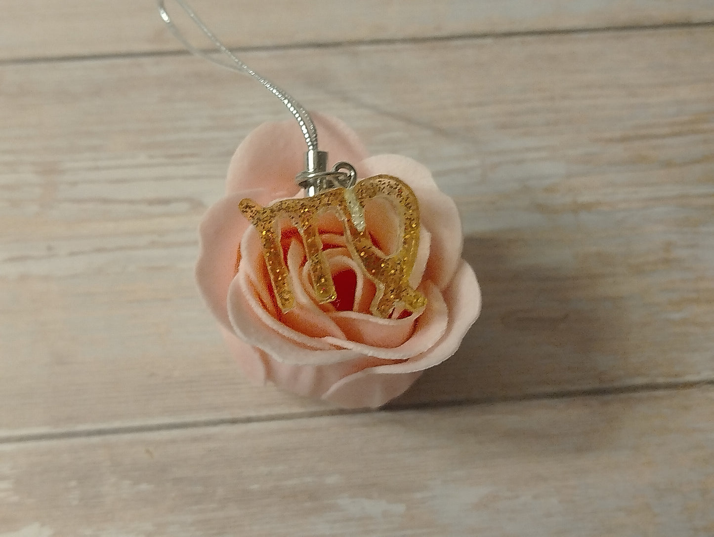 Signe Transparent pailleté