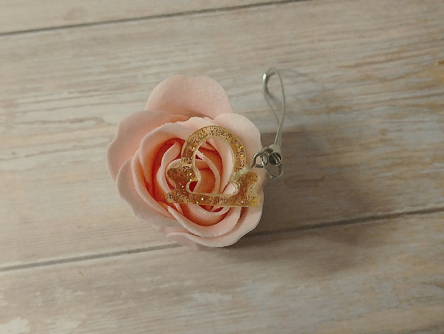 Signe Transparent pailleté