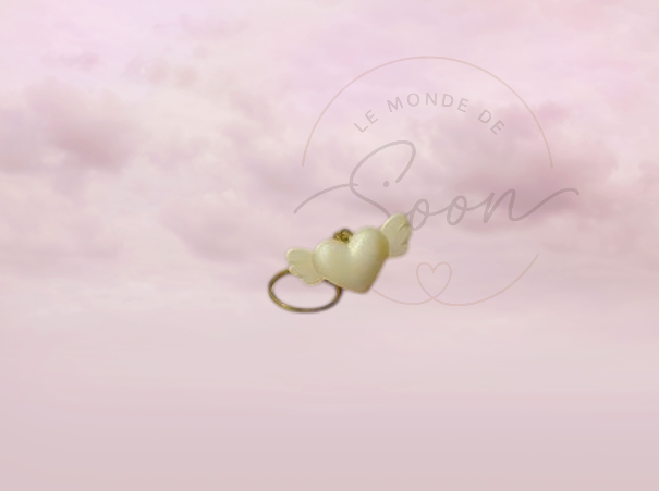 Coeur aile