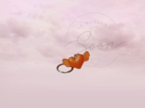 Coeur aile