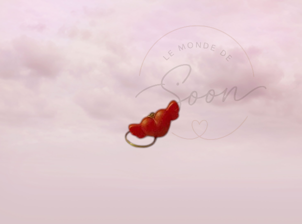 Coeur aile