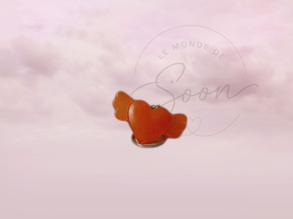 Coeur aile