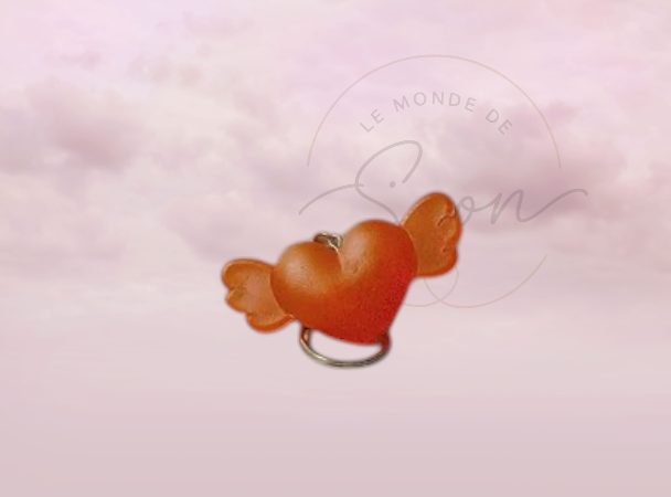 Coeur aile