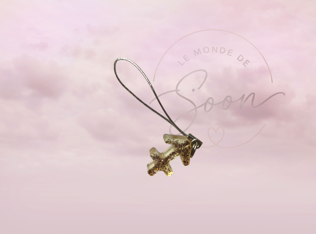 Signe Transparent pailleté