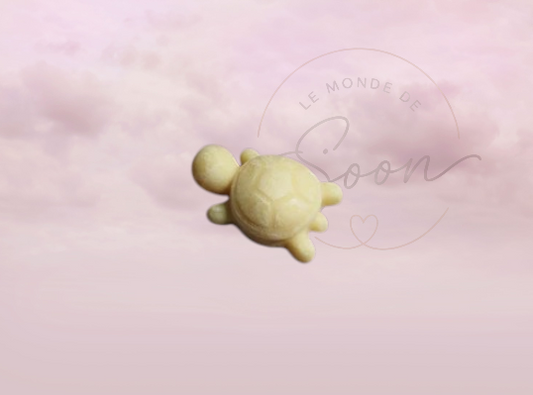 Tortue