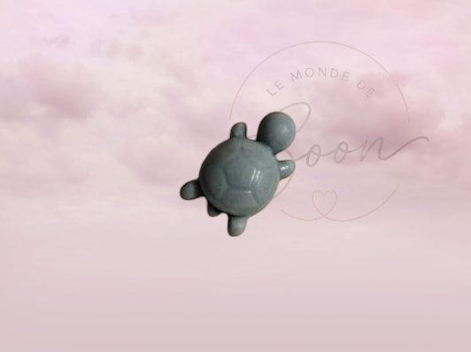 Tortue