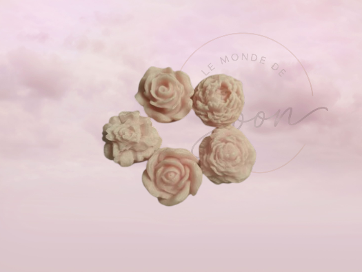 Lot Fleurs