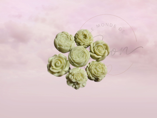 Lot Fleurs