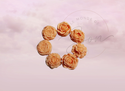 Lot Fleurs