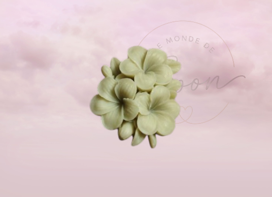 Bouquet fleur