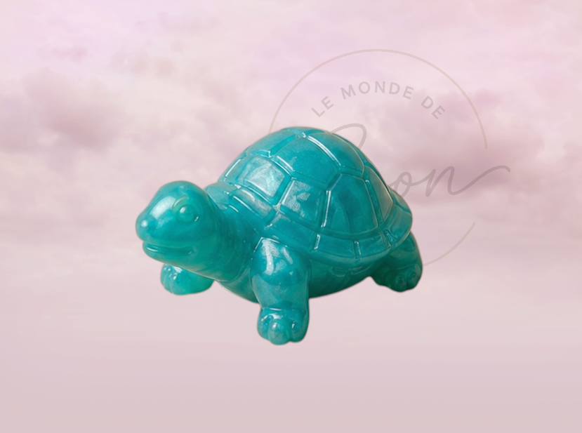 Tortue