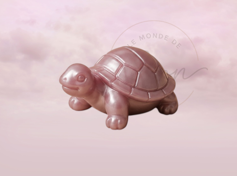 Tortue