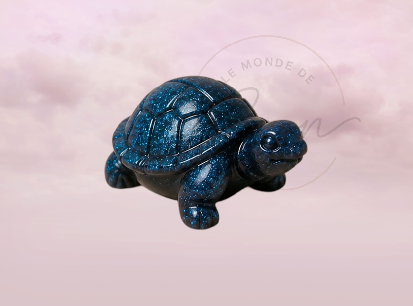 Tortue