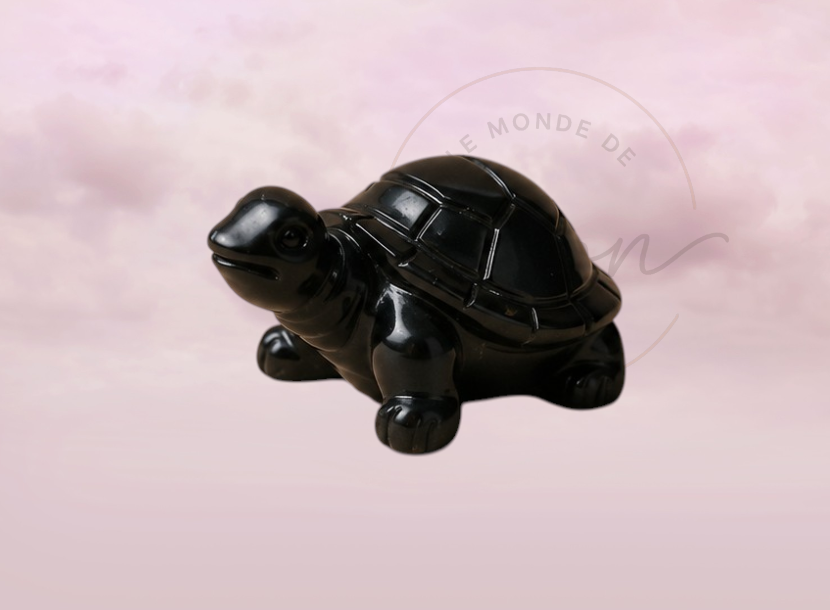 Tortue