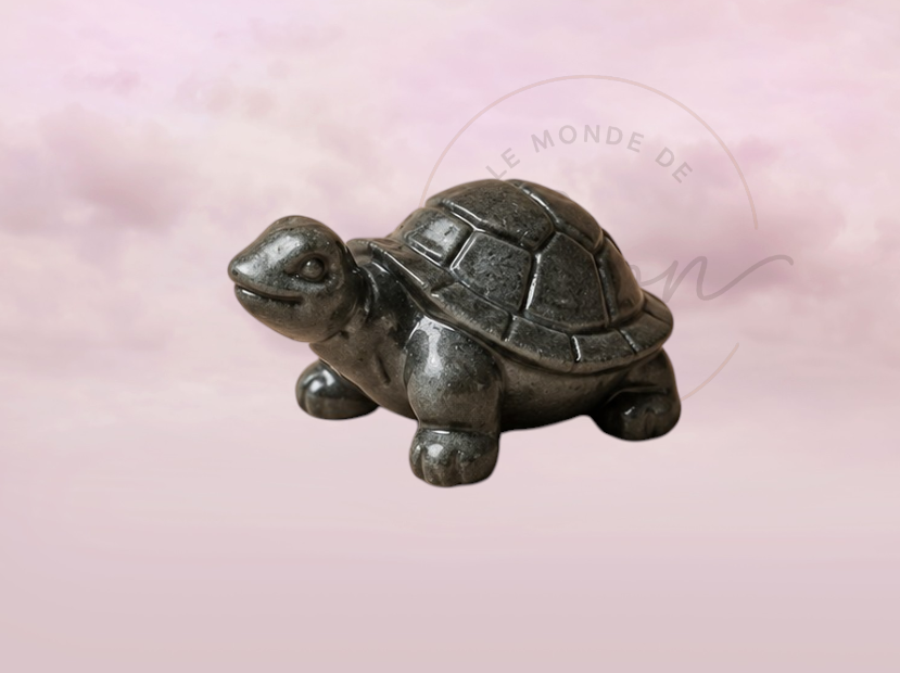 Tortue