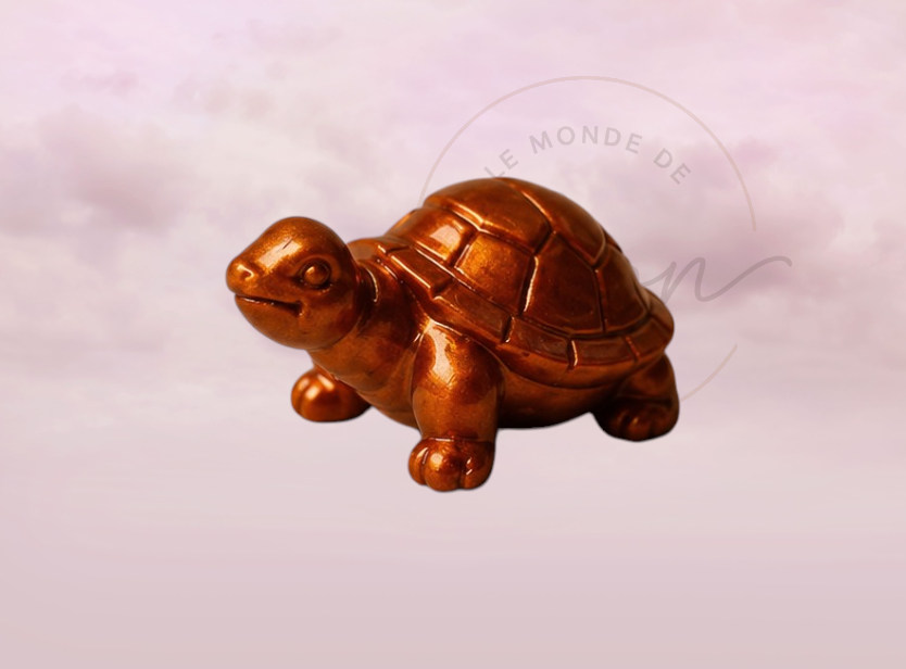 Tortue