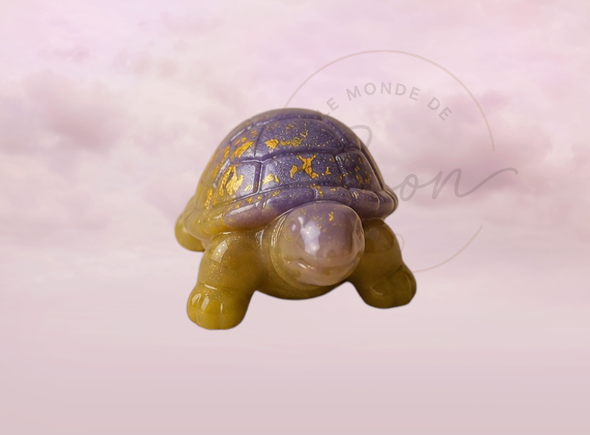 Tortue