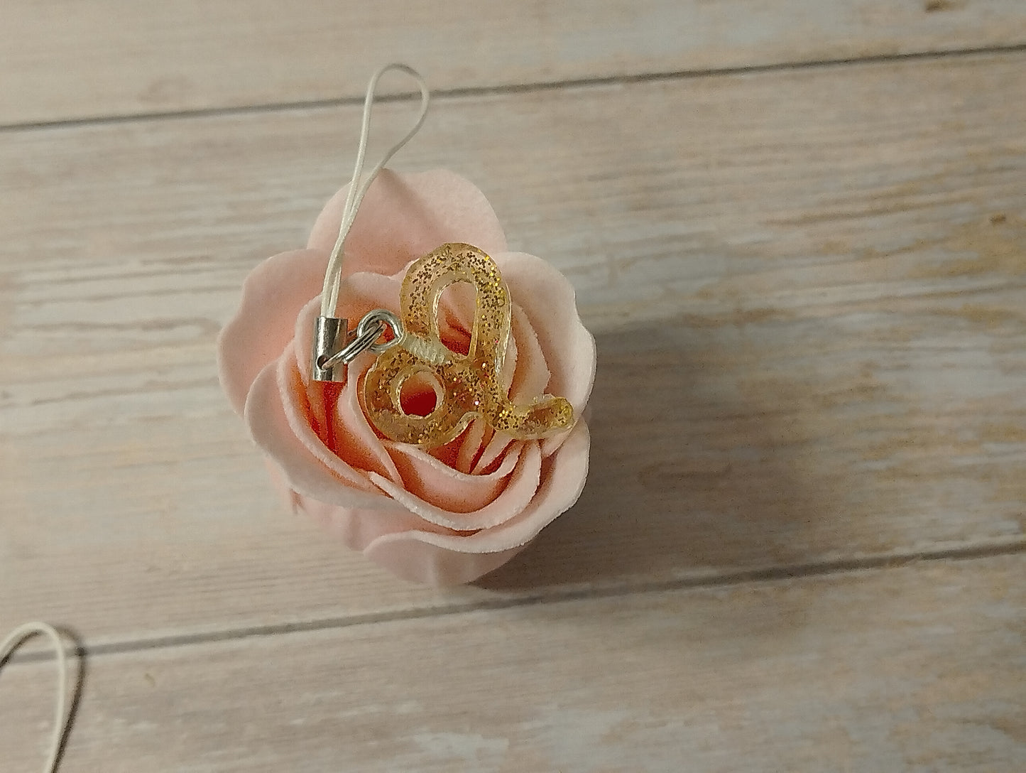 Signe Transparent pailleté