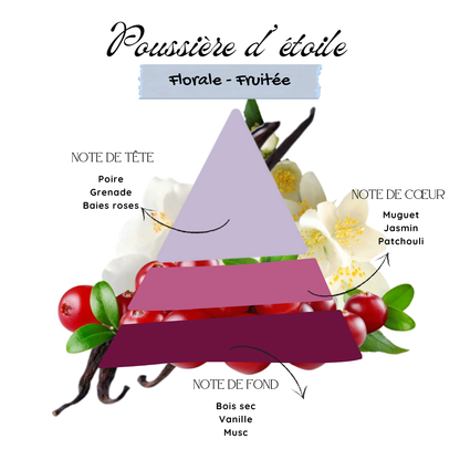 Poussière d'étoiles