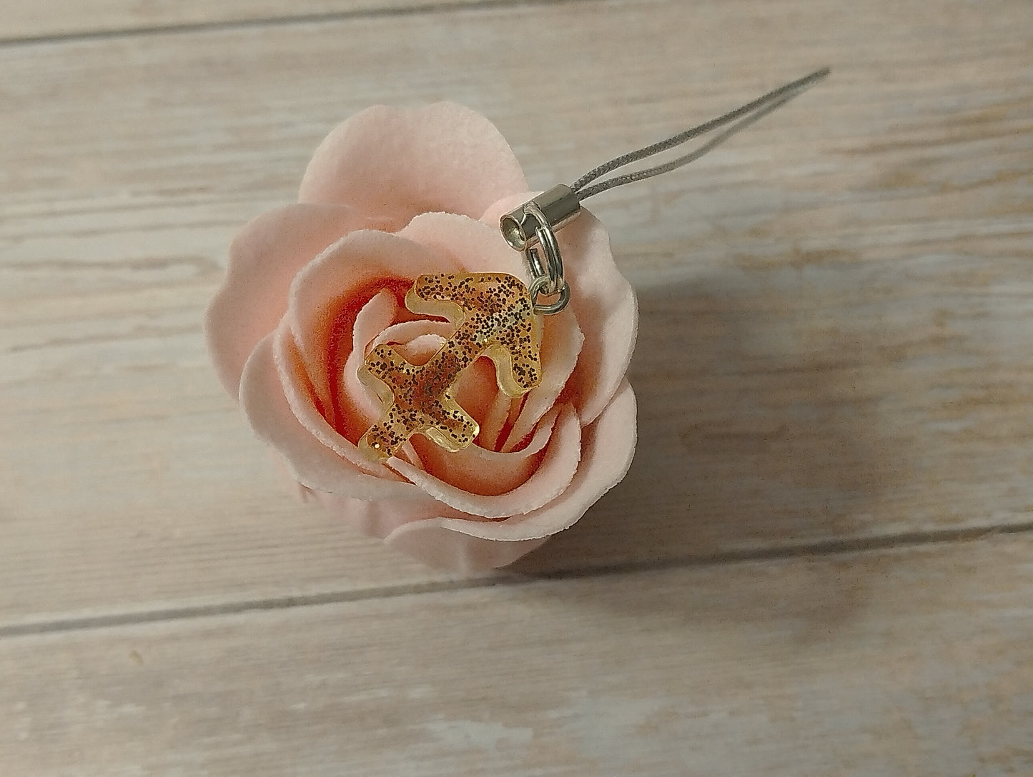 Signe Transparent pailleté