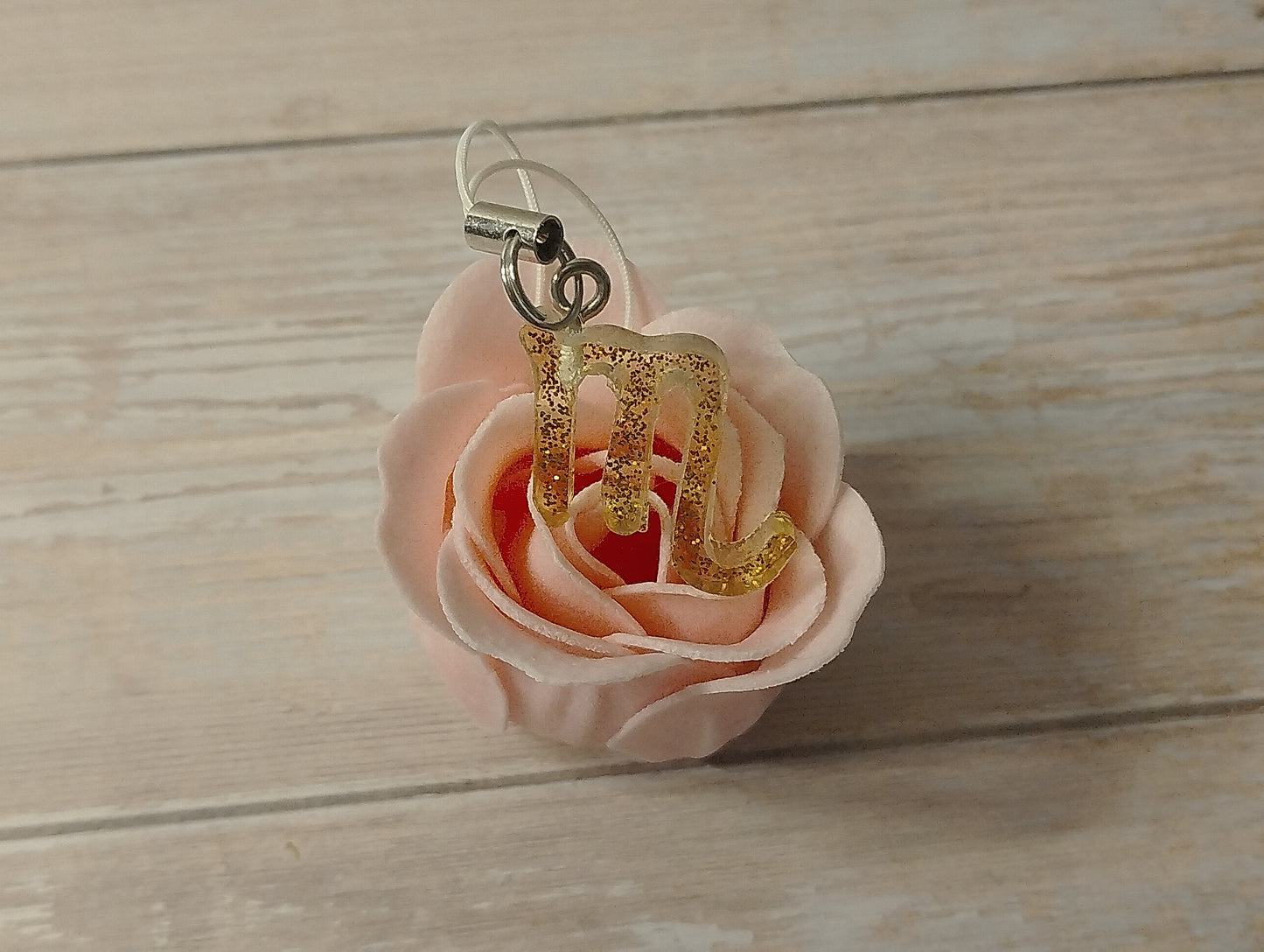 Signe Transparent pailleté